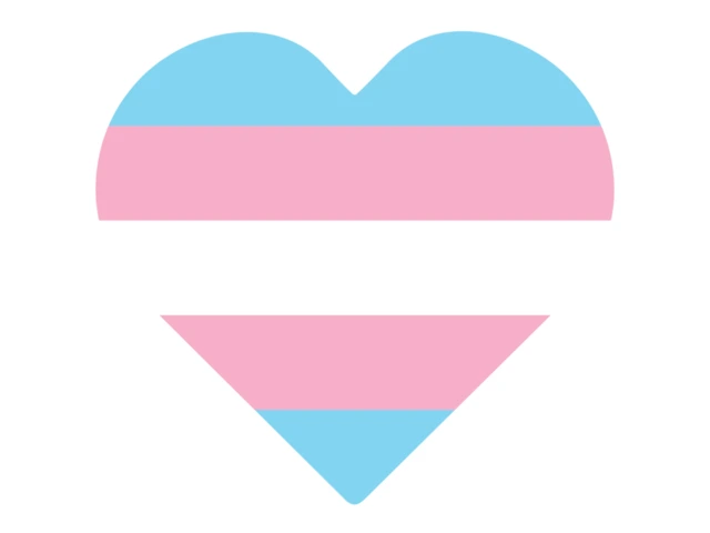 trans flag in the shape of a heart
