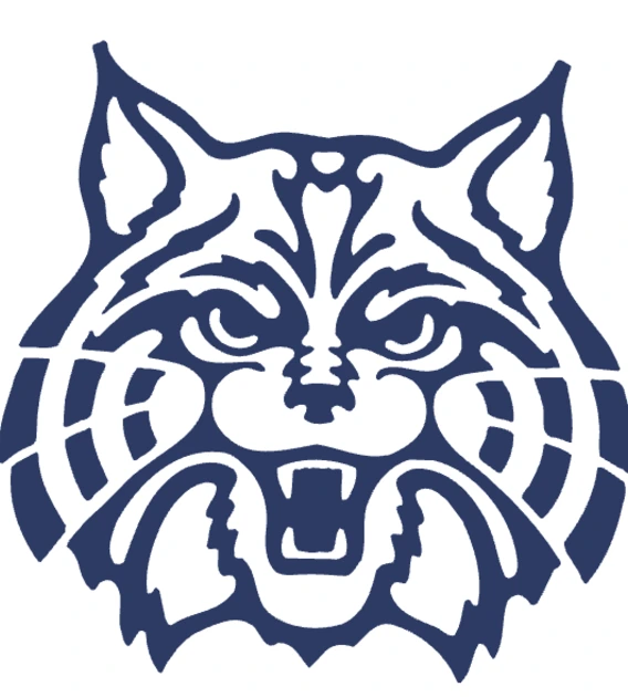 Wildcat Placeholder